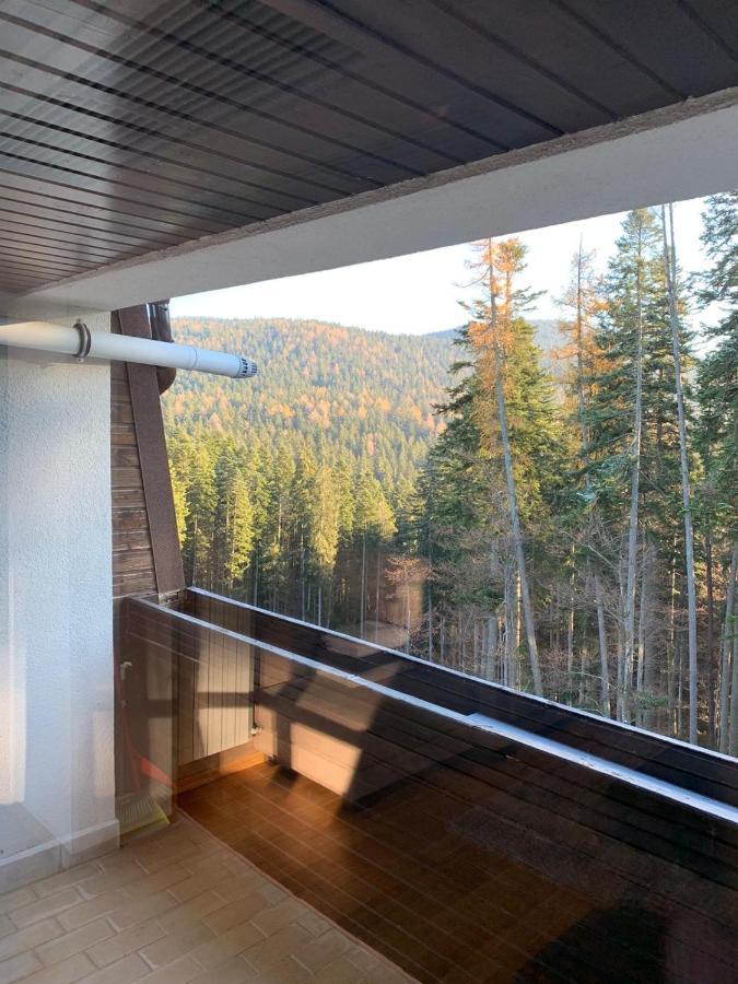 Cioplea View Διαμέρισμα Predeal Εξωτερικό φωτογραφία